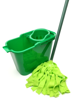 Green cleaning in Ranchitos, NM by The Pro's Commercial Cleaning, LLC