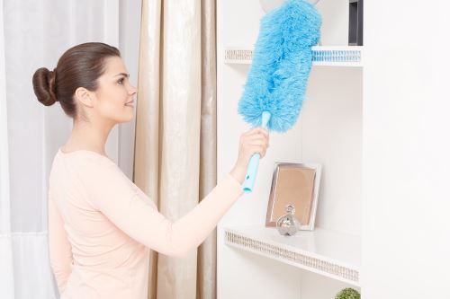 Apartment Cleaning in Panorama Heights, New Mexico